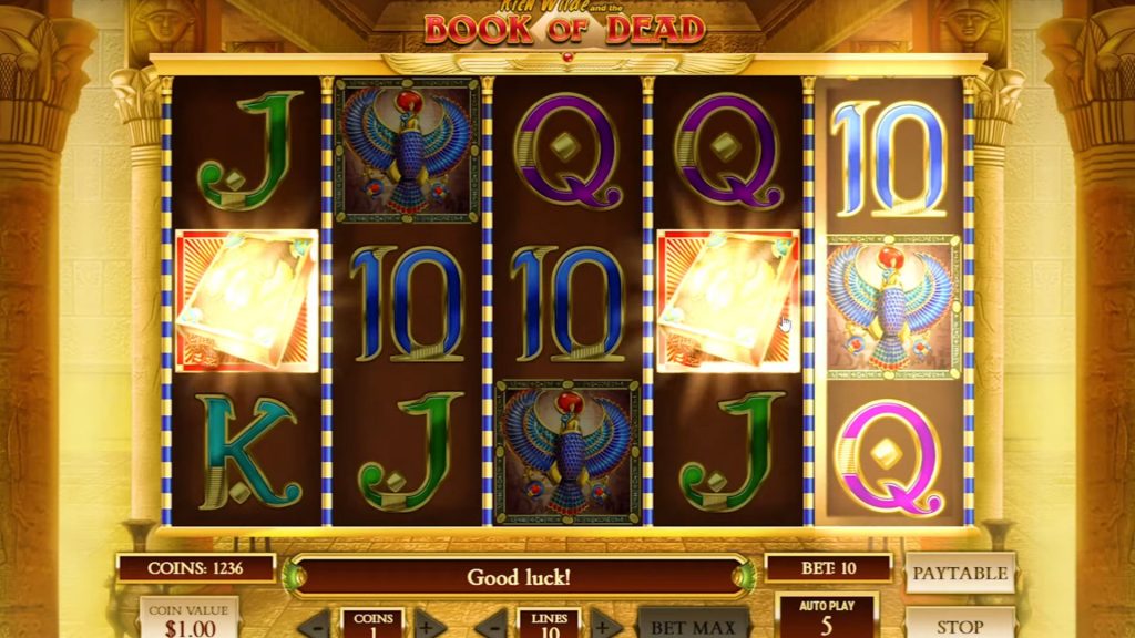 Evolution of casino slot machines: review of Book of Dead mobile application
